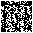 QR code with Pristine Pools Inc contacts