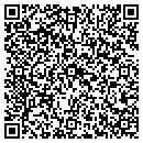 QR code with CDV Of Florida Inc contacts