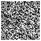 QR code with Blue Star Synergy LLC contacts