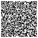 QR code with Productive Computers contacts