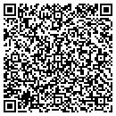 QR code with Cinderella's Flowers contacts