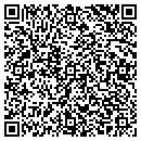 QR code with Production Electriks contacts