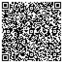 QR code with Collins Painting Inc contacts