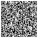 QR code with Bruce W Higley DDS contacts