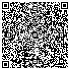 QR code with Blue Water Cnstr & Rmdlg contacts