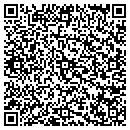 QR code with Punta Gorda Stucco contacts
