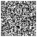 QR code with County of Collier contacts