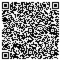 QR code with N-Cam contacts