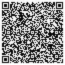 QR code with Blue Ribbon Grooming contacts