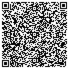 QR code with Public Connections Inc contacts