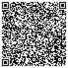 QR code with Publishing Concepts contacts