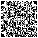 QR code with Premier Tint contacts