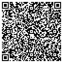 QR code with Precise Roofing Inc contacts