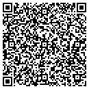 QR code with Blue Water Landscape contacts