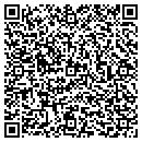 QR code with Nelson J Salemi Agcy contacts