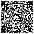 QR code with Premier Agency contacts