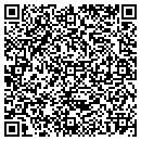 QR code with Pro America Insurance contacts
