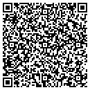 QR code with Pyramid Computer contacts