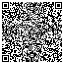 QR code with Pyramid Planning contacts