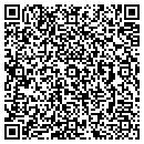 QR code with Bluegate Inc contacts