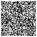 QR code with Premier Accounting contacts