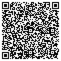 QR code with Angeva contacts