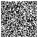 QR code with Bmr Construction Inc contacts