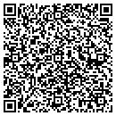 QR code with Pulcini Construction contacts