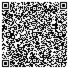 QR code with Pulcini Construction contacts