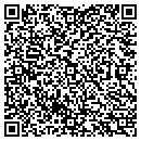 QR code with Castles Of Imagination contacts