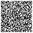 QR code with Blm Construction Inc contacts