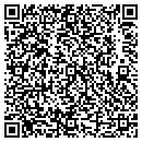 QR code with Cygnet Construction Inc contacts