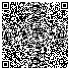 QR code with Pulawski Construction LLC contacts