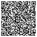 QR code with Amsoft contacts