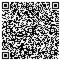 QR code with Tegui contacts