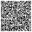 QR code with Cg Contractor Inc contacts