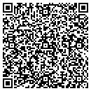 QR code with Carl W Williams CPA contacts