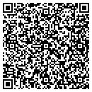 QR code with Premier Courier Inc contacts