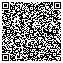 QR code with Costa Construction Inc contacts