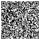 QR code with Program 5 Inc contacts