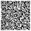 QR code with Carl C Computer Corp contacts