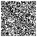 QR code with Carter Insurance Co contacts