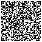 QR code with Professional Dealer & Pla contacts