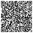 QR code with Carpet Designs Inc contacts