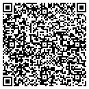 QR code with Blue Ribbon Antiques contacts