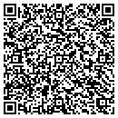 QR code with Colorworks Unlimited contacts
