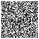 QR code with Blue Sky Cab contacts