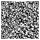 QR code with Primitive Earth Beads contacts