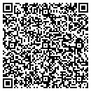 QR code with Premier Belting Inc contacts