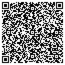 QR code with Constantino Painting contacts